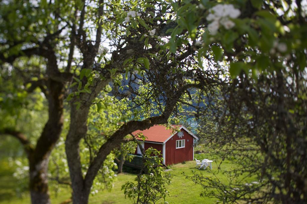 Dragsvik Fjordhotel (Adults Only) บาเลสตรันด์ ภายนอก รูปภาพ