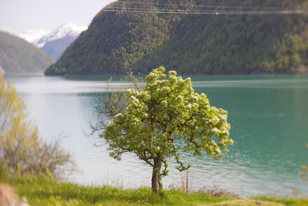 Dragsvik Fjordhotel (Adults Only) บาเลสตรันด์ ภายนอก รูปภาพ